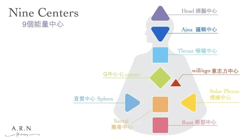 人類圖能量中心